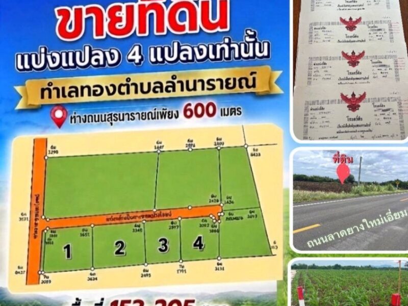 ขายที่ดินตำบลลำนารายณ์ อำเภอชัยบาดาล จังหวัดลพบุรี เริ่มต้น153 ตรว-205ตรว.โฉนดครุฑแดง