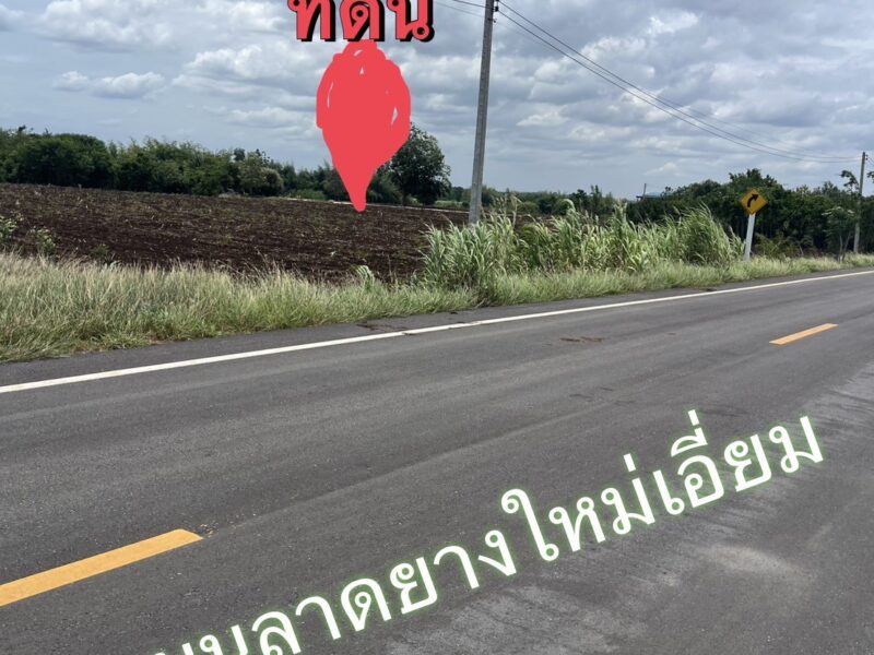 ขายที่ดินตำบลลำนารายณ์ อำเภอชัยบาดาล จังหวัดลพบุรี เริ่มต้น153 ตรว-205ตรว.โฉนดครุฑแดง