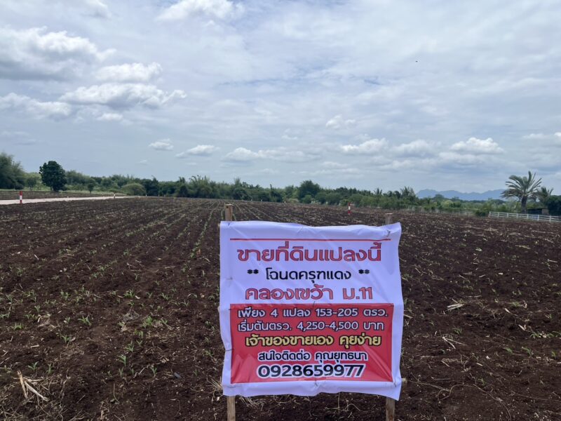 ขายที่ดินตำบลลำนารายณ์ อำเภอชัยบาดาล จังหวัดลพบุรี เริ่มต้น153 ตรว-205ตรว.โฉนดครุฑแดง