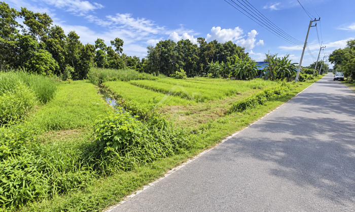 BHL1359 ที่ดินเปล่า คลองสอง ซอย บงกช 15 ปทุมธานี ทำเลดี รูปแปลงสวย .