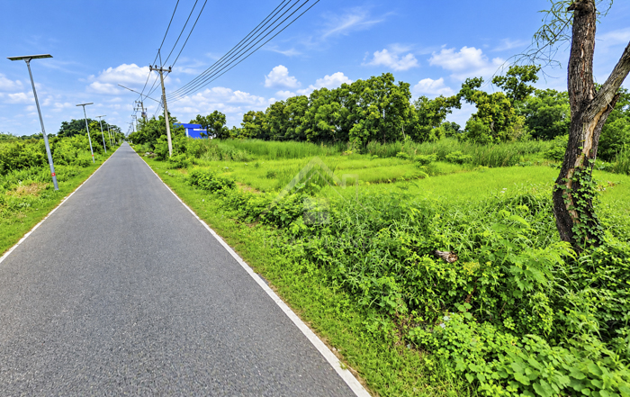 BHL1359 ที่ดินเปล่า คลองสอง ซอย บงกช 15 ปทุมธานี ทำเลดี รูปแปลงสวย .