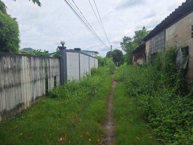 ขายที่ดินเปล่า 99 ตรว. ใกล้สถานีรถไฟฟ้าหลักหก, โรงเรียนสายปัญญารังสิต