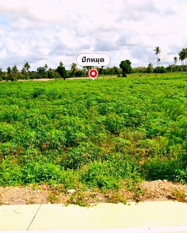 ขายที่ดิน 12- 2 -78 ไร่ แปลงสวยราคาพิเศษ ที่นักลงทุนไทยและต่างชาติไม่ควรพลาด!!