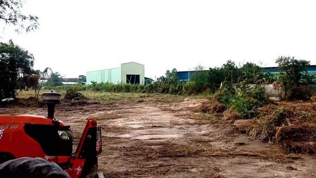 ขายที่ดิน 10 ไร่ ติดถนนคอนกรีต หนองขา ศรีราชา ชลบุรี ใกล้นิคมปิ่นทอง