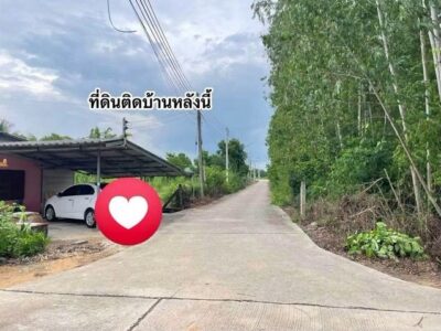 ขายที่ดินสวย 3 งาน พื้นที่สี่เหลี่ยมสวย ทำเลดี พนัสนิคม ชลบุรี