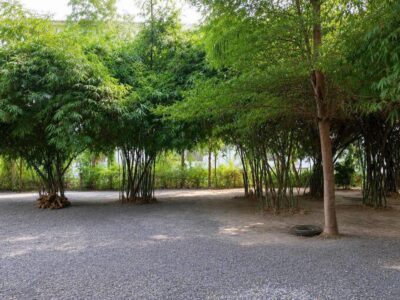 ขายที่ดินเปล่า 123.2 ตร.ว. (แปลงC) คานหาม อุทัย อยุธยา ใกล้โรจนะ มีไผ่หวาน ราคา 1.49 ล้านบาท Tel.0949287889