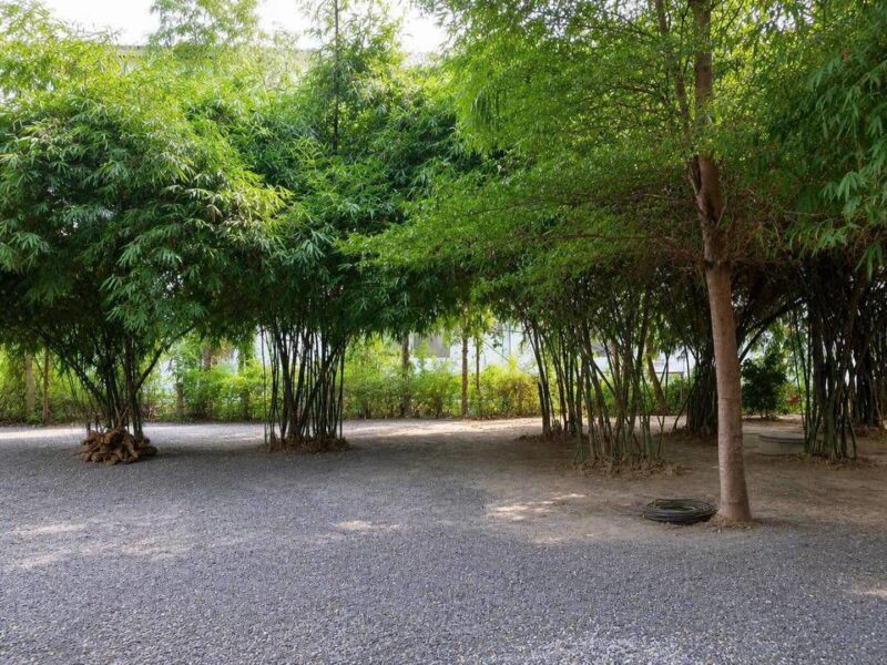 ขายที่ดินเปล่า 123.2 ตร.ว. (แปลงC) คานหาม อุทัย อยุธยา ใกล้โรจนะ มีไผ่หวาน ราคา 1.49 ล้านบาท Tel.0949287889