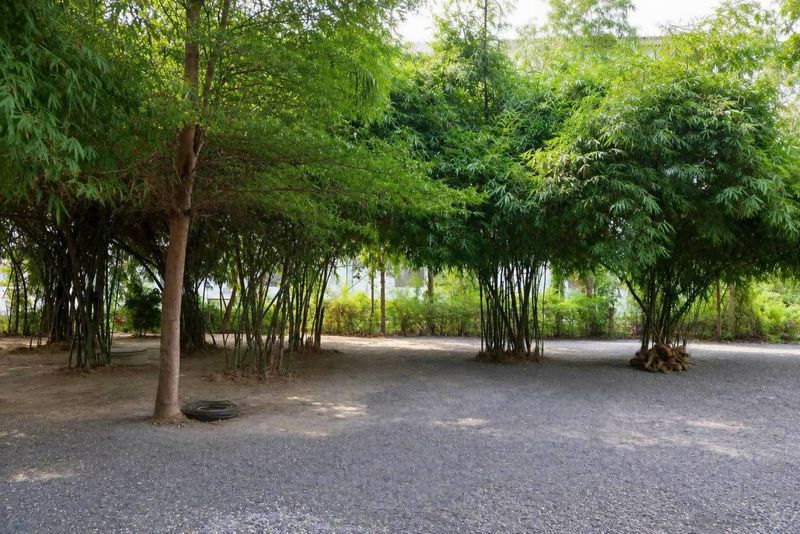 ขายที่ดินเปล่า 123.2 ตร.ว. (แปลงC) คานหาม อุทัย อยุธยา ใกล้โรจนะ มีไผ่หวาน ราคา 1.49 ล้านบาท Tel.0949287889