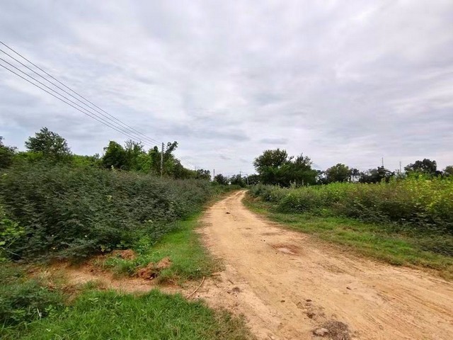ขายที่ดิน เนืัอที่รวมทั้งหมด 184-1-85 ไร่ (มีทั้งหมด 4 แปลง) บ้านโพธิ์ ฉะเชิงเทรา