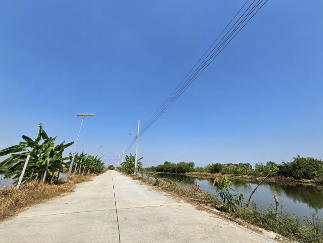 ใกล้ถนนมอเตอร์เวย์ พิกัด : ต.ศรีษะจรเข้น้อย อ.บางเสาธง จ. สมุทรปราการ