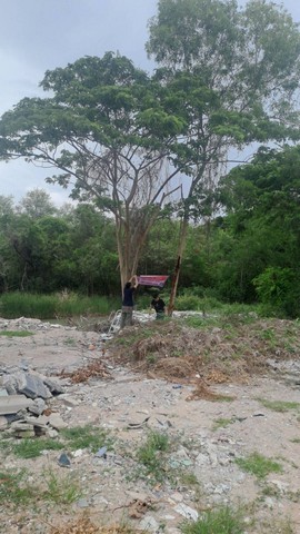 ขายที่ดินทำเลศักยภาพ เมืองระยอง เนื้อที่ 6 ไร่ 3 งาน 62 ตร.วาทำเลดี ใกล้โรงเรียนอัสสัมชัญระยอง เหมาะสำหรับนักลงทุนและผู้ประกอบการ