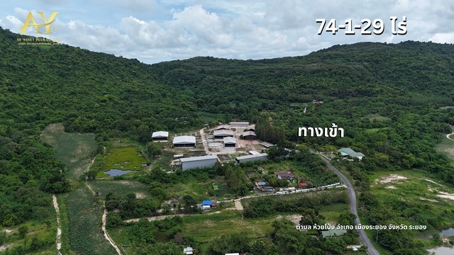 ขายที่ดินแปลงยักษ์ 74 ไร่ ใจกลางระยอง ชัยภูมิฮวงจุ้ยระดับมังกร!