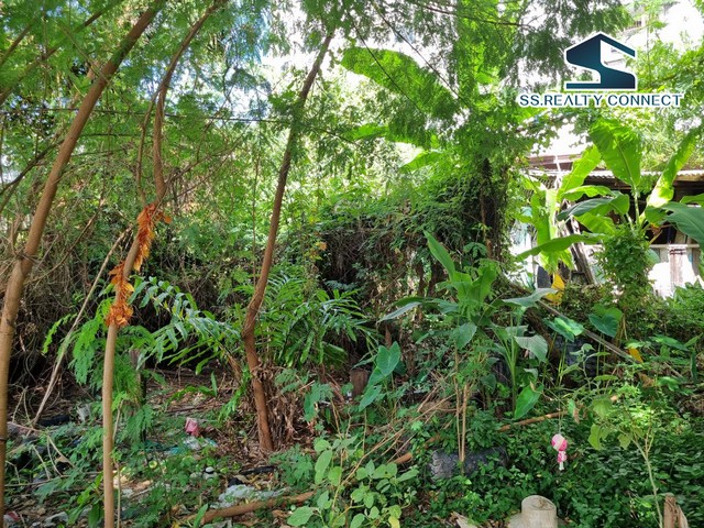 ขายที่ดินสุขุมวิท ย่านปรีดีพนมยงค์ 348 ตร.ว. คลองตันเหนือ วัฒนา