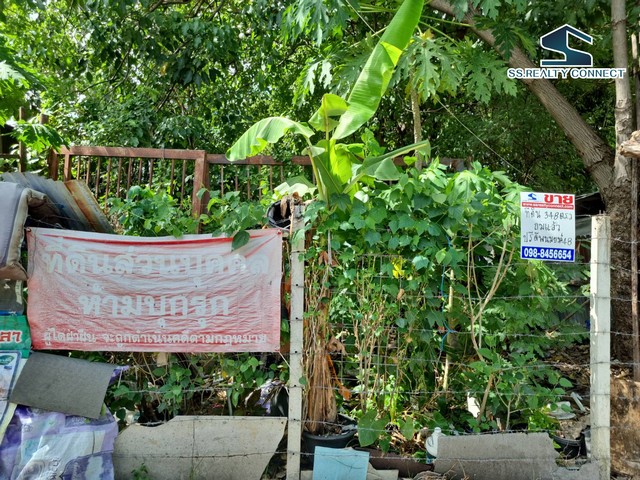 ขายที่ดินสุขุมวิท ย่านปรีดีพนมยงค์ 348 ตร.ว. คลองตันเหนือ วัฒนา
