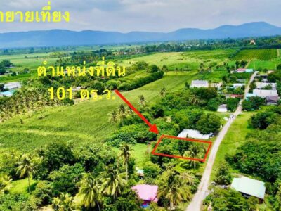 ที่ดิน ปากช่อง เขาใหญ่ 101 ตร.ว. 3 แสน น.ส4จ นครราชสีมา