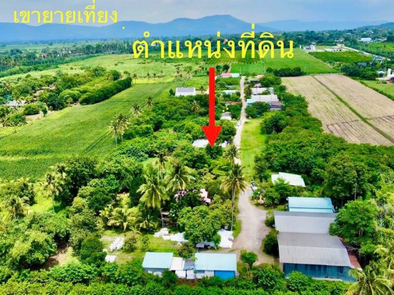 ที่ดิน ปากช่อง เขาใหญ่ 101 ตร.ว. 3 แสน น.ส4จ นครราชสีมา