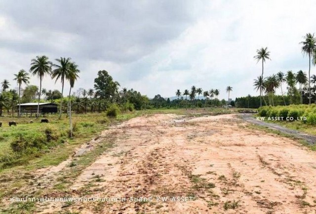 ขายที่ดินห้วยใหญ่ พัทยา บางละมุง แปลงสวย ใกล้ ถนนพัทยา-มาบตาพุด FP-L02366