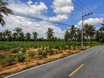 ขายที่ดินทำเลดี ใกล้โรงเรียนนานาชาติรีเจนท์ พัทยา ราคาสุดพิเศษ FP-L02434