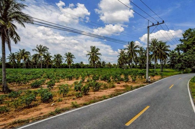 ขายที่ดินทำเลดี ใกล้โรงเรียนนานาชาติรีเจนท์ พัทยา ราคาสุดพิเศษ FP-L02434