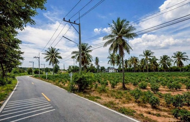 ขายที่ดินทำเลดี ใกล้โรงเรียนนานาชาติรีเจนท์ พัทยา ราคาสุดพิเศษ FP-L02434