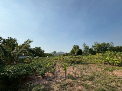 ขายที่ดินศรีราชา นาพร้าว แปลงสวย ซอยลุงเทิ้ม ใกล้แหล่งชุมชน FP-L02437
