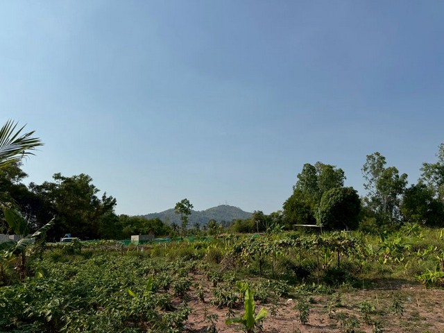 ขายที่ดินศรีราชา นาพร้าว แปลงสวย ซอยลุงเทิ้ม ใกล้แหล่งชุมชน FP-L02437