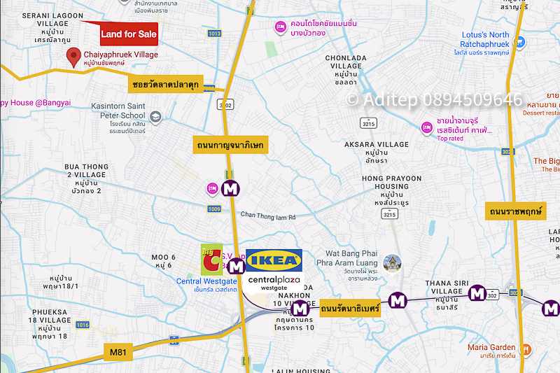 ขายต่ำกว่าราคาประเมิน ที่ดินปลูกบ้าน 125 ตร.วา หมู่บ้านชัยพฤกษ์ บางบัวทอง รปภ. 24 ชม. ในซอยวัดลาดปลาดุก ถนนกาญจนาภิเษก ใกล้ MRT สายสีม่วง