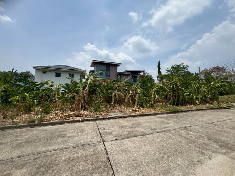 ขายที่ดิน หมู่บ้าน นีโอซิตี้ ดอนเมือง เนื้อที่ 130 ตร.ว