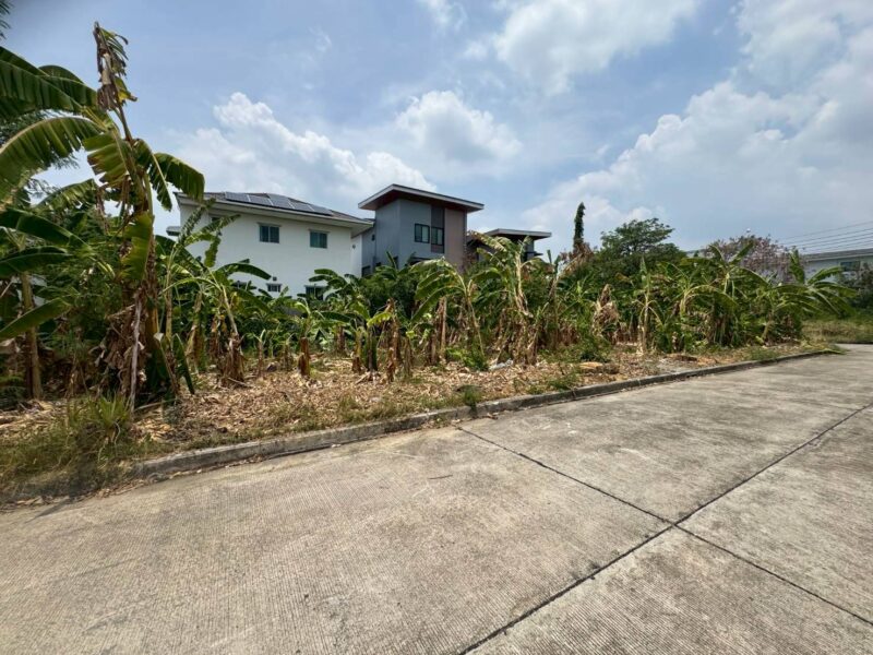 ขายที่ดิน หมู่บ้าน นีโอซิตี้ ดอนเมือง เนื้อที่ 130 ตร.ว