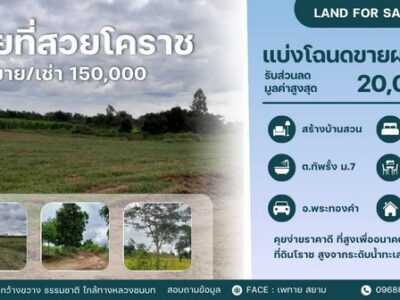 ทรัพย์น่าซื้อบอกต่อราคาดีคุยง่าย โคราชพื้นที่สูง ที่ดินพระทองคำ ทัพรั้ง ห่าง 4038 เพียง 190 เมตร น้ำไม่ท่วม สมรภูมิดี