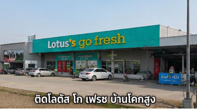 260831fresuinsld ให้เช่า ที่ดิน ติดโลตัส โก เฟรช บ้านโคกสูง ที่ดินติดถนน 8 เลน บ้านโคกสูง 19 ไร่ 3 งาน 30 ตร.ว. 44998 บาทต่อเดือน ขอนแก่น