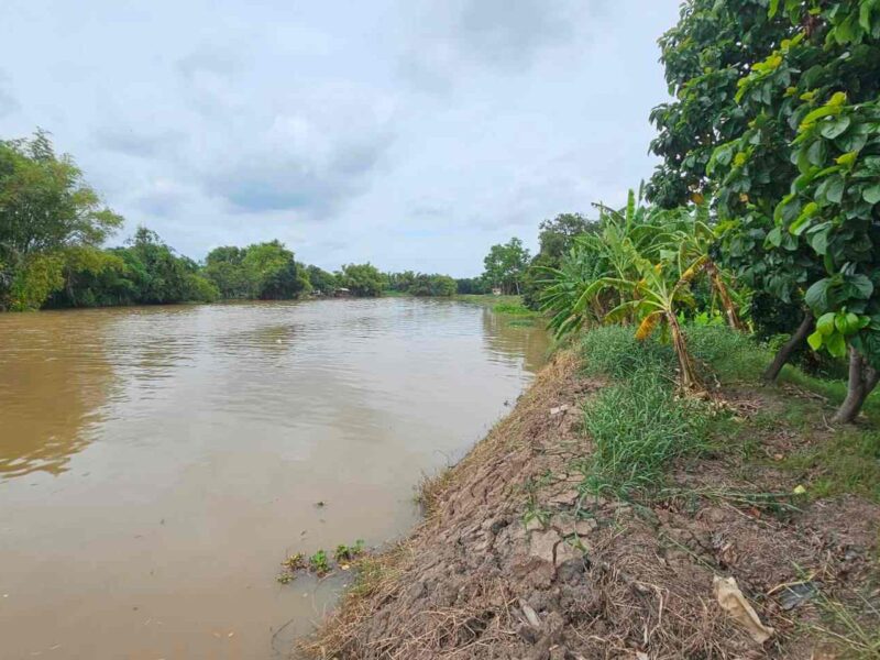 ขายบ้านพร้อมที่ดิน ทำเลดี ริมแม่น้ำท่าจีน 10 ไร่ ศรีประจันต์ สุพรรณบุรี