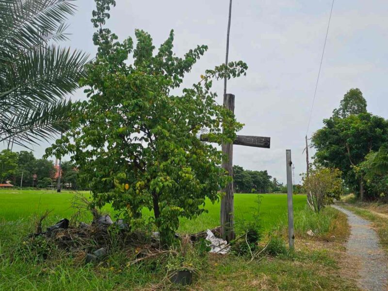 ขายบ้านพร้อมที่ดิน ทำเลดี ริมแม่น้ำท่าจีน 10 ไร่ ศรีประจันต์ สุพรรณบุรี