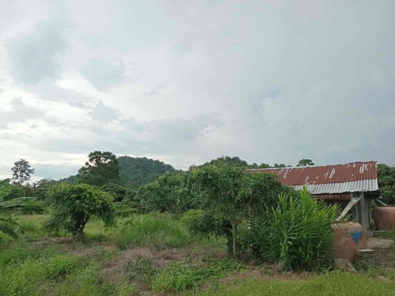 ขายที่ดิน10 ไร่ พร้อมสวนลำไยและสระน้ำ ทำเลโป่งน้ำร้อน จันทบุรี