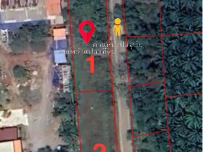 ขายที่ดินเปล่ามีโฉนด ติดถนนทำเลดี ท่าทองใหม่ สุราษฎร์ธานี