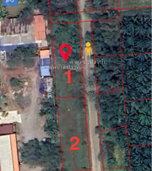 ขายที่ดินเปล่ามีโฉนด ติดถนนทำเลดี ท่าทองใหม่ สุราษฎร์ธานี