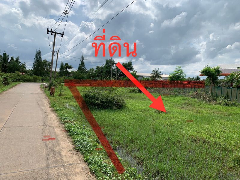 ขายที่ดินเปล่ามีโฉนด ติดถนนทำเลดี ท่าทองใหม่ สุราษฎร์ธานี