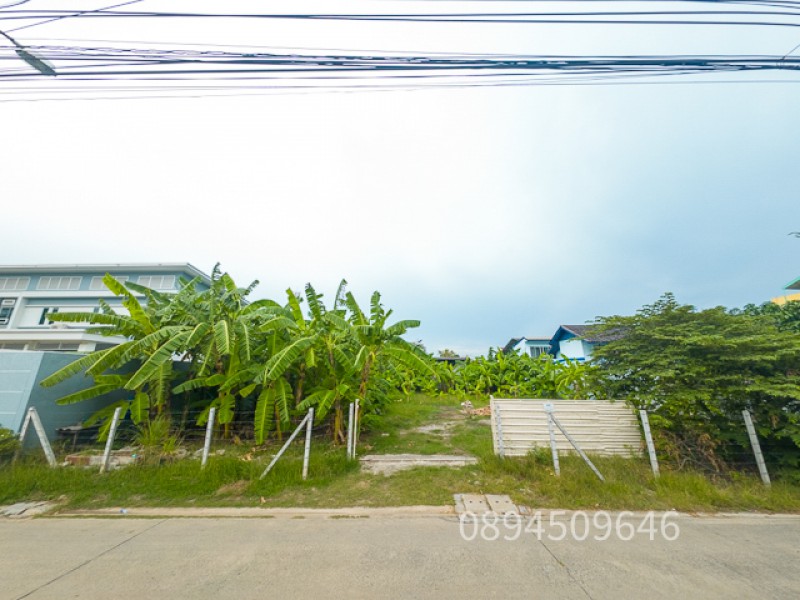 ขายที่ดิน สุคนธสวัสดิ์ 14 ขนาด 200 ตรว. หน้ากว้าง 25.5 เมตร เข้าซอยเพียง 200 เมตร ถมแล้ว สภาพแวดล้อมดี เหมาะปลูกบ้าน