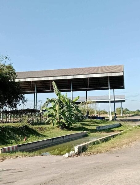 ขายที่ดินพร้อมอาคารโรงงานแปลงยาวฉะเชิงเทรา ขายที่ดิน 46 ไร่ 2 งานพร้อมอาคารโรงงาน มีใบอนุญาตประเภท 106(ผลิตอิฐ)