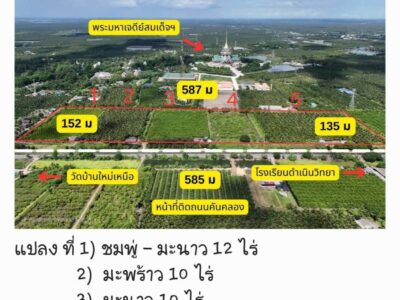 ขายที่ดินสวน ติดหลังวัดหลวงพ่อสด ด้านหน้าติดถนนคลองชลประทาน อำเภอดำเนินสะดวก จังหวัดราชบุรี