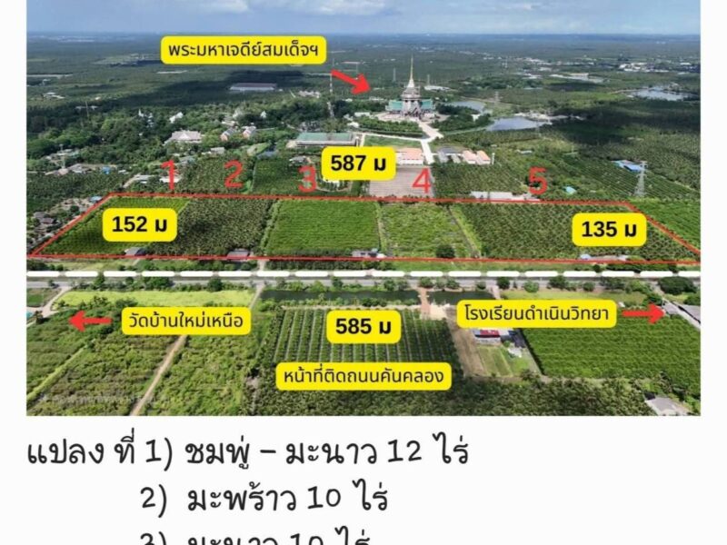 ขายที่ดินสวน ติดหลังวัดหลวงพ่อสด ด้านหน้าติดถนนคลองชลประทาน อำเภอดำเนินสะดวก จังหวัดราชบุรี