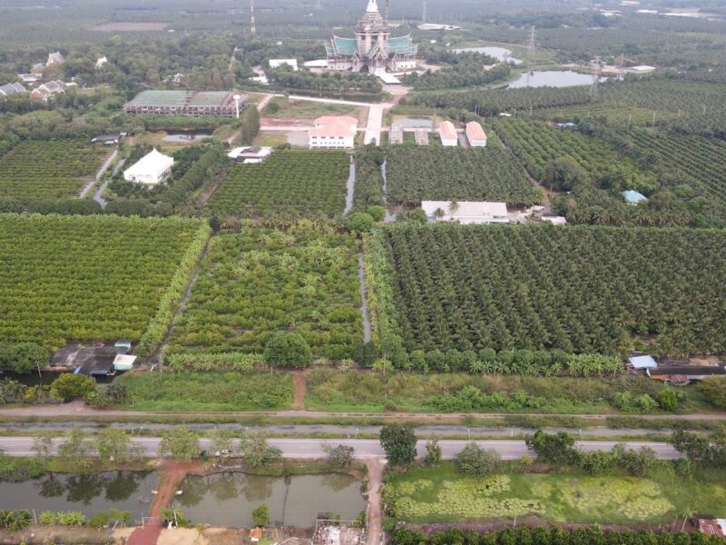 ขายที่ดินสวน ติดหลังวัดหลวงพ่อสด ด้านหน้าติดถนนคลองชลประทาน อำเภอดำเนินสะดวก จังหวัดราชบุรี
