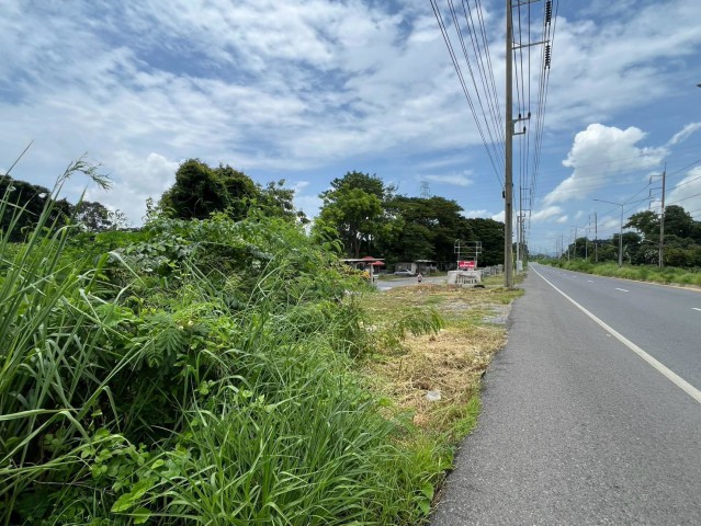 ที่ดินผืนงามติดแม่น้ำป่าสัก 11 ไร่เศษ ต.บ้านป่า อ.แก่งคอย จ.สระบุรี
