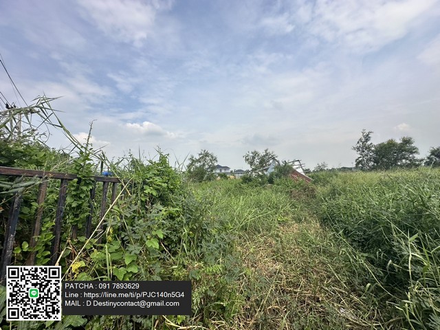 ขายที่ดินเปล่า 15-3-35 ไร่ ลาดหลุมแก้ว ปทุมธานี ทำเลดี ย่านชุมชนพร้อมบรรยากาศธรรมชาติ เหมาะสำหรับลงทุนหรือพัฒนาโครงการที่อยู่อาศัย