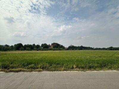 ให้เช่าที่ดินเปล่าถมแล้ว ทำเลดี แปลงใหญ่ ติดถนนทางหฃวงชนบท ใกล้ชุมชน ลาดหลุมแก้ว ปทุมธานี