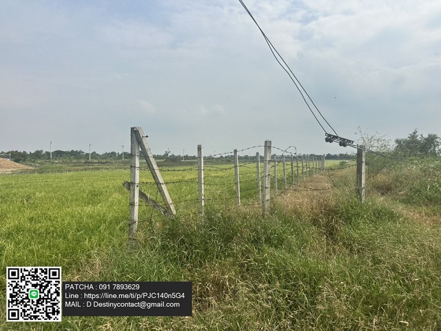 ให้เช่าที่ดินเปล่าถมแล้ว ทำเลดี แปลงใหญ่ ติดถนนทางหฃวงชนบท ใกล้ชุมชน ลาดหลุมแก้ว ปทุมธานี