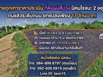 #ขายถูกเท่าราคาประเมิน ที่ดินผังสีม่วง 911 ตร.ว. นิคมโรจนะ 2 อยุธยา✨ ถมแล้วระดับถนน ยกแปลงเพียง 11 ล้านบาท