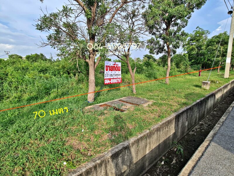 #ขายถูกเท่าราคาประเมิน ที่ดินผังสีม่วง 911 ตร.ว. นิคมโรจนะ 2 อยุธยา✨ ถมแล้วระดับถนน ยกแปลงเพียง 11 ล้านบาท