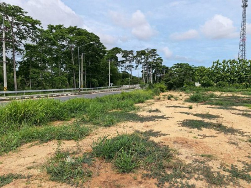 ขายที่ดินทำเลศักยภาพ EEC ติดถนนห้วยใหญ่ 4 เลน บางละมุง พัทยา TP-L2520