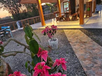 ขายที่ดินสวนพร้อมบ้าน และบ่อปลา 4.5 ไร่ อ.ลอง จ.แพร่ (พร้อมเข้าอยู่) บังกาโล 1 นอน ตกแต่งด้วยไม้สักแท้ สภาพใหม่พร้อมอยู่